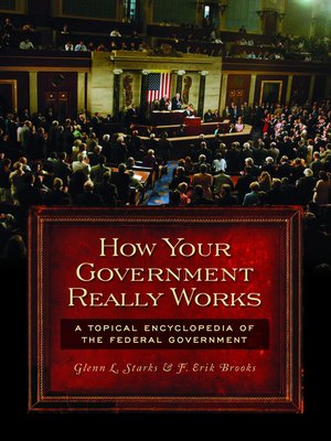 cover image of How Your Government Really Works